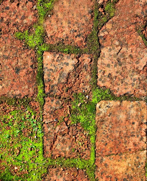 Τούβλα αργίλου χώμα πεζοδρόμιο ρύθμιση παραδοσιακά Ισπανία — Φωτογραφία Αρχείου