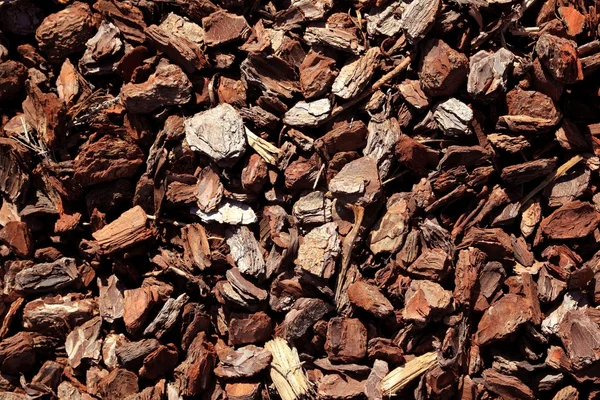 庭での土壌として茶色の樹皮ツリー トランク パターン テクスチャ — ストック写真