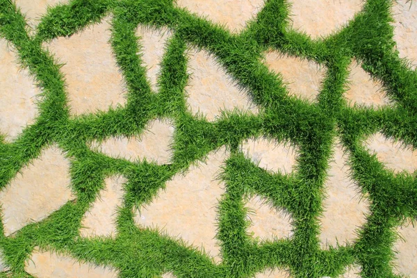 A zöld fű kerti textúra kő út — Stock Fotó