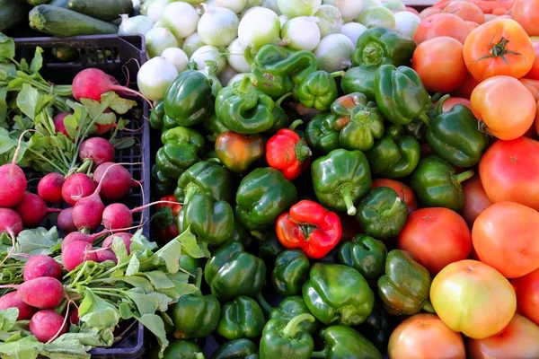 Greengrocers tomates rábano pimientos rojos verdes —  Fotos de Stock