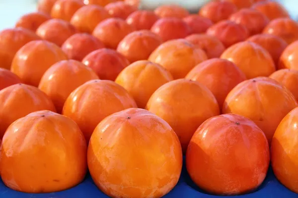 Patrón de frutas de caqui en hileras fruta disposición —  Fotos de Stock
