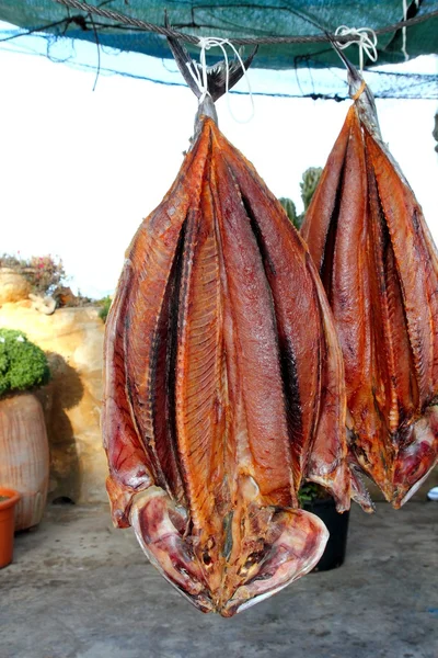 Atum Bonito peixe seco salgado Sarda mediterrânica — Fotografia de Stock