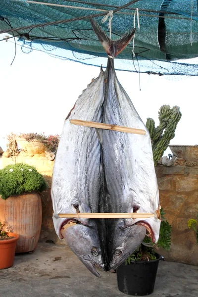 Atum Bonito peixe seco salgado Sarda mediterrânica — Fotografia de Stock
