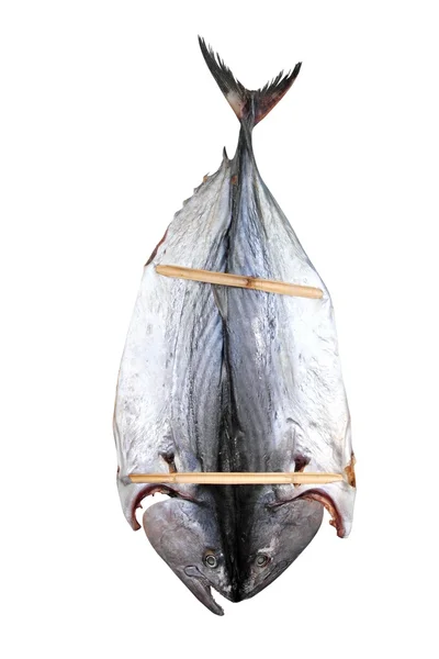 Palamut balığı tuzlu kuru balık mediteraranean sarda — Stok fotoğraf