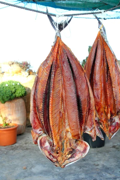 Bonito atún salado pescado seco Sarda mediterránea —  Fotos de Stock