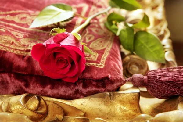 Классическая красная роза на винтажной бархатной подушке — стоковое фото