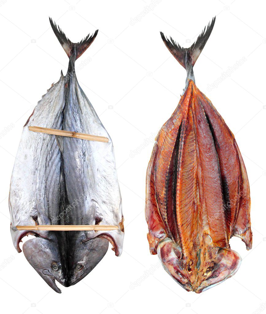 Bonito tuna salted dried fish Mediteraranean sarda