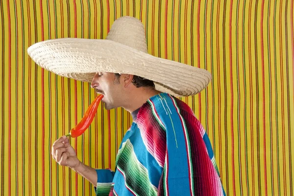 Chili hot pepper Mexican man typical poncho serape Royalty Free Stock Images
