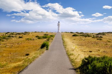 barbarlığın berberia cape deniz feneri formentera çayır