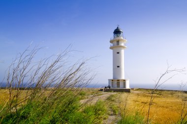 barbarlığın berberia cape deniz feneri formentera çayır