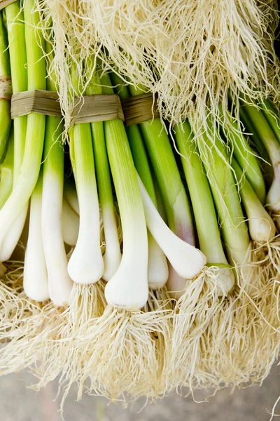 Ramo de ajo fresco verduras crudas alimentos — Foto de Stock