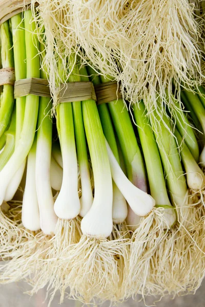 Bos van knoflook verse rauwe groenten eten — Stockfoto