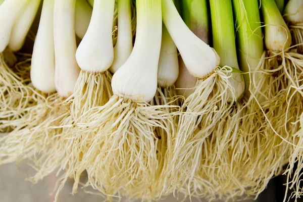 Parta potravin čerstvou syrovou zeleninu, česnek — Stock fotografie