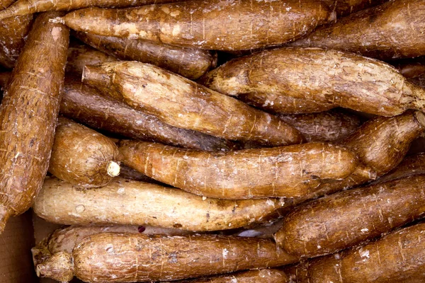 Cassava yucca rhizomes vegatable food pattern — Stock Photo, Image