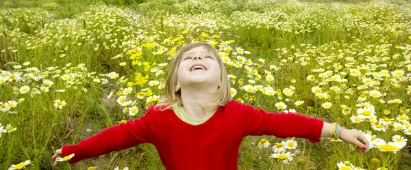 Chica rubia brazos abiertos primavera pradera margarita flores —  Fotos de Stock