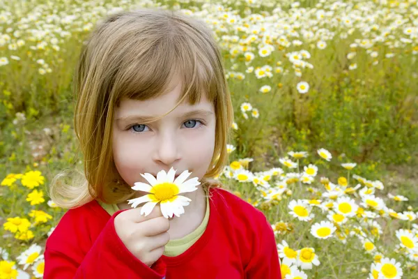Ξανθιά μικρό κορίτσι smeling Μαργαρίτα άνοιξη λουλούδι Λιβάδι — Φωτογραφία Αρχείου