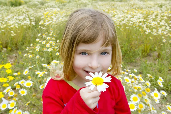 Loira menina cheirando margarida primavera flor prado — Fotografia de Stock