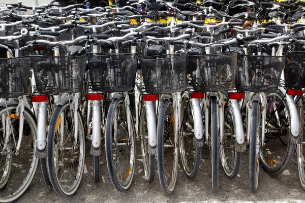 Bicycles renting shop pattern rows parking — Stock Photo, Image