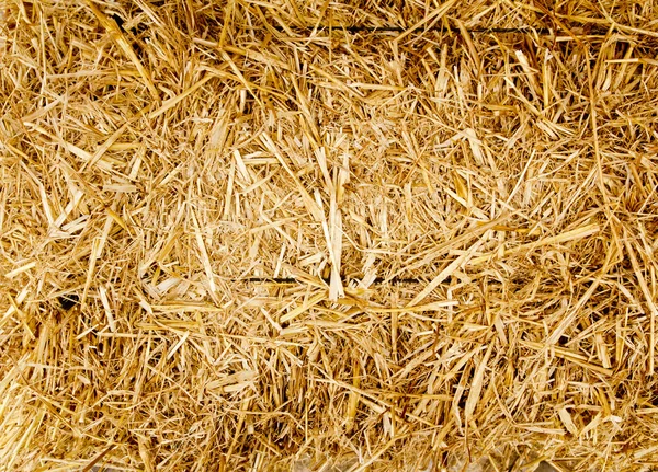 Золотая соломенная текстура тюка жвачки кормит животных — стоковое фото