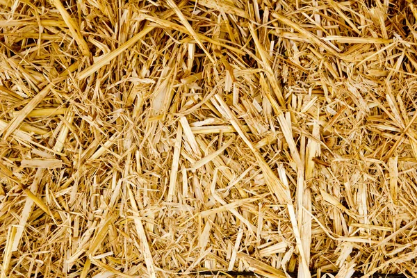 Gouden baal stro textuur herkauwers dierlijke voedsel — Stockfoto