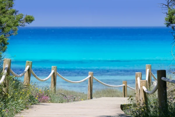 Illetas illetes beachn turquoise Formentera island — Stock Photo, Image