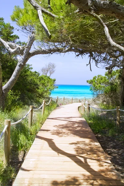 Strand weg naar illetas paradijs strand formentera — Stockfoto