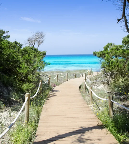 Beach way to Illetas paradise beach Formentera — Stock Photo, Image