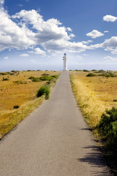 Barbaria berberia cape lighthouse Formentera meadow — Stock Photo, Image