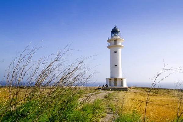 Barbaria berberia cape lighthouse Formentera meadow — Stock Photo, Image