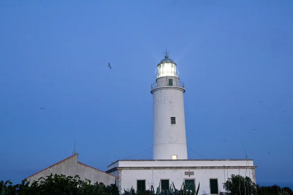 Przylądek barbaria lighthouse oświetlenie zachód słońca — Zdjęcie stockowe