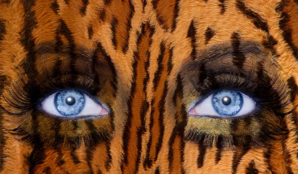 Mavi moda makyaj gözleri leopar jaguar cilt doku — Stok fotoğraf