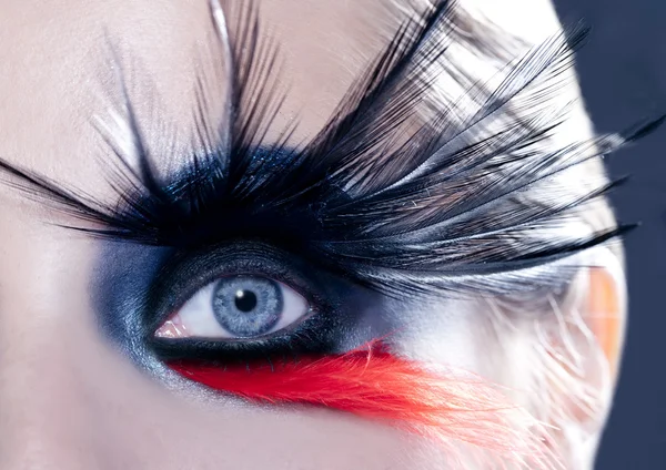 Pássaro preto mulher olho maquiagem macro — Fotografia de Stock