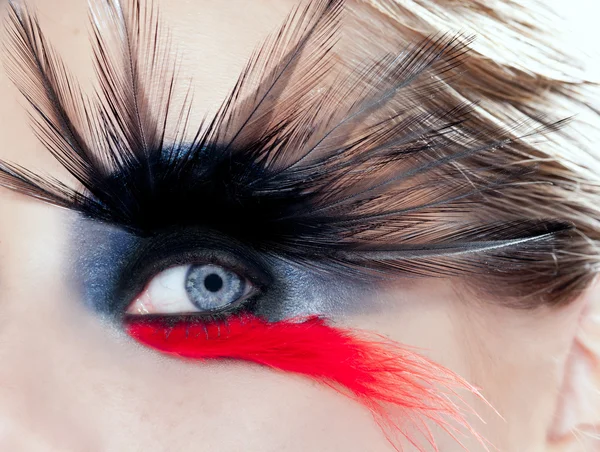 Siyah kuş kadın göz makyajı makro — Stok fotoğraf