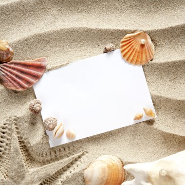 Copyspace blank space summer starfish sand shells clipart