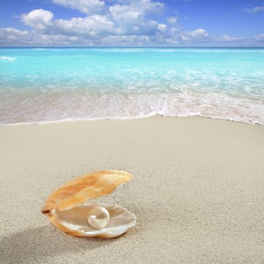 Caribbean pearl on shell white sand beach tropical clipart