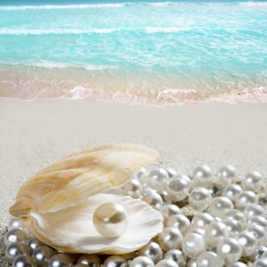 Caribbean pearl on shell white sand beach tropical clipart