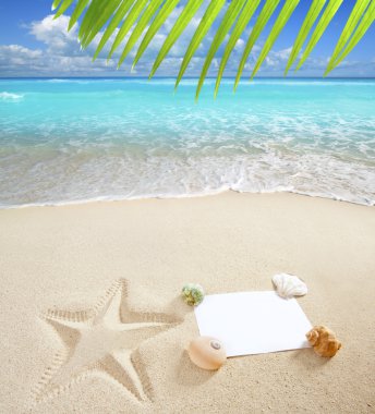 Caribbean beach sea blank copy space starfish shells clipart