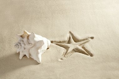 Beach starfish print shell white caribbean sand clipart