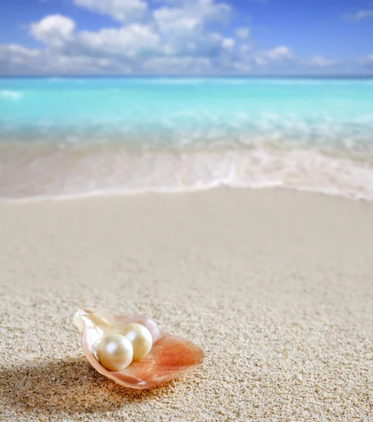 Karayip inci kabuğu beyaz kum plaj tropikal üzerinde — Stok fotoğraf