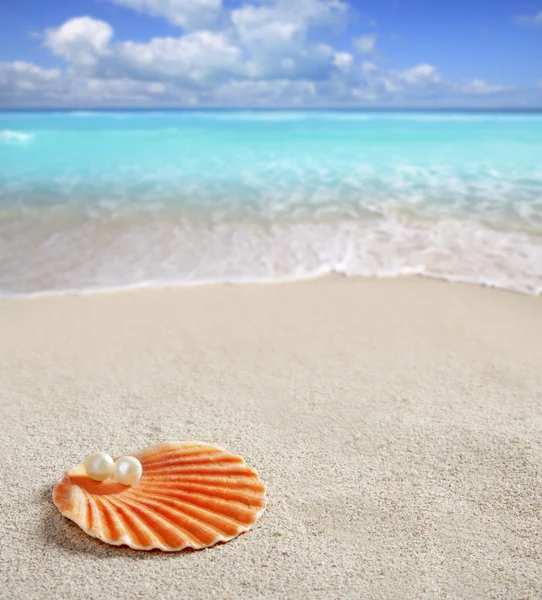 Perle des Caraïbes sur coquille plage de sable blanc tropical — Photo