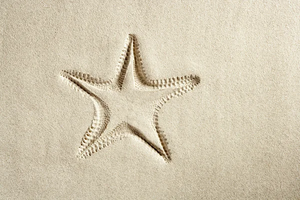 Praia estrela do mar imprimir branco caribe areia verão — Fotografia de Stock