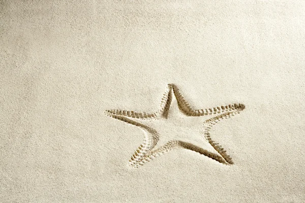 Praia estrela do mar imprimir branco caribe areia verão — Fotografia de Stock