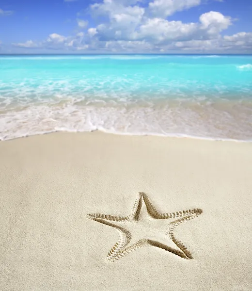 Caribbean beach starfish print white sand summer — Stock Photo, Image