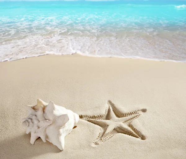 Karibské pláži hvězdice tisknout shell bílý písek — Stock fotografie