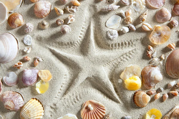 Rozgwiazda piasek plaży biały drukuj wiele milczek skorupki — Zdjęcie stockowe