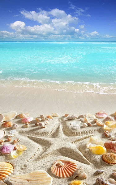 Beach sand starfish print caribbean tropical sea — Stock Photo, Image