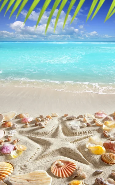 Beach sand starfish print caribbean tropical sea — Stock Photo, Image