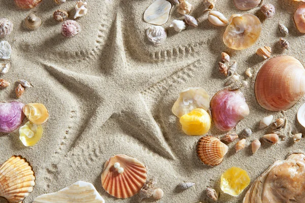 Playa blanca arena estrella de mar imprimir muchas conchas de almejas — Foto de Stock