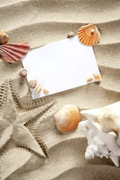 Copyspace Tom utrymme sommaren sjöstjärna sand snäckor — Stockfoto