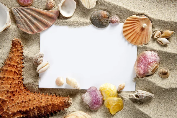 Espacio de copia espacio en blanco estrellas de mar de verano conchas de arena —  Fotos de Stock